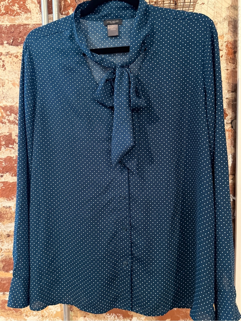 Ann Taylor Factory Polka Dot Blouse, Size L